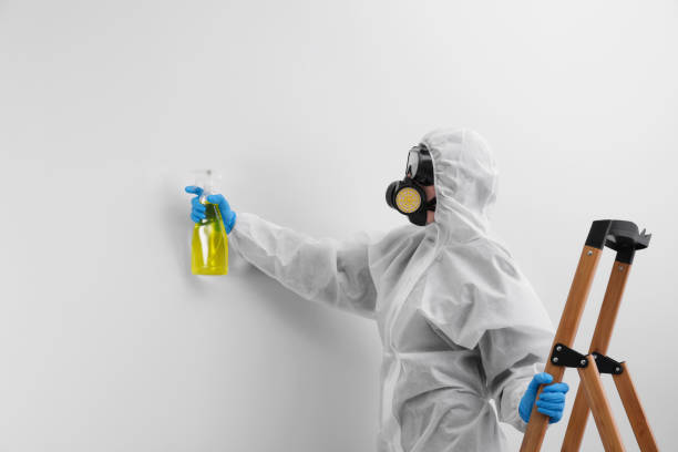 Why You Should Choose Our Mold Remediation Services in Siloam Springs, AR