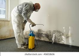 Best Asbestos and Lead Testing During Mold Inspection  in Siloam Springs, AR